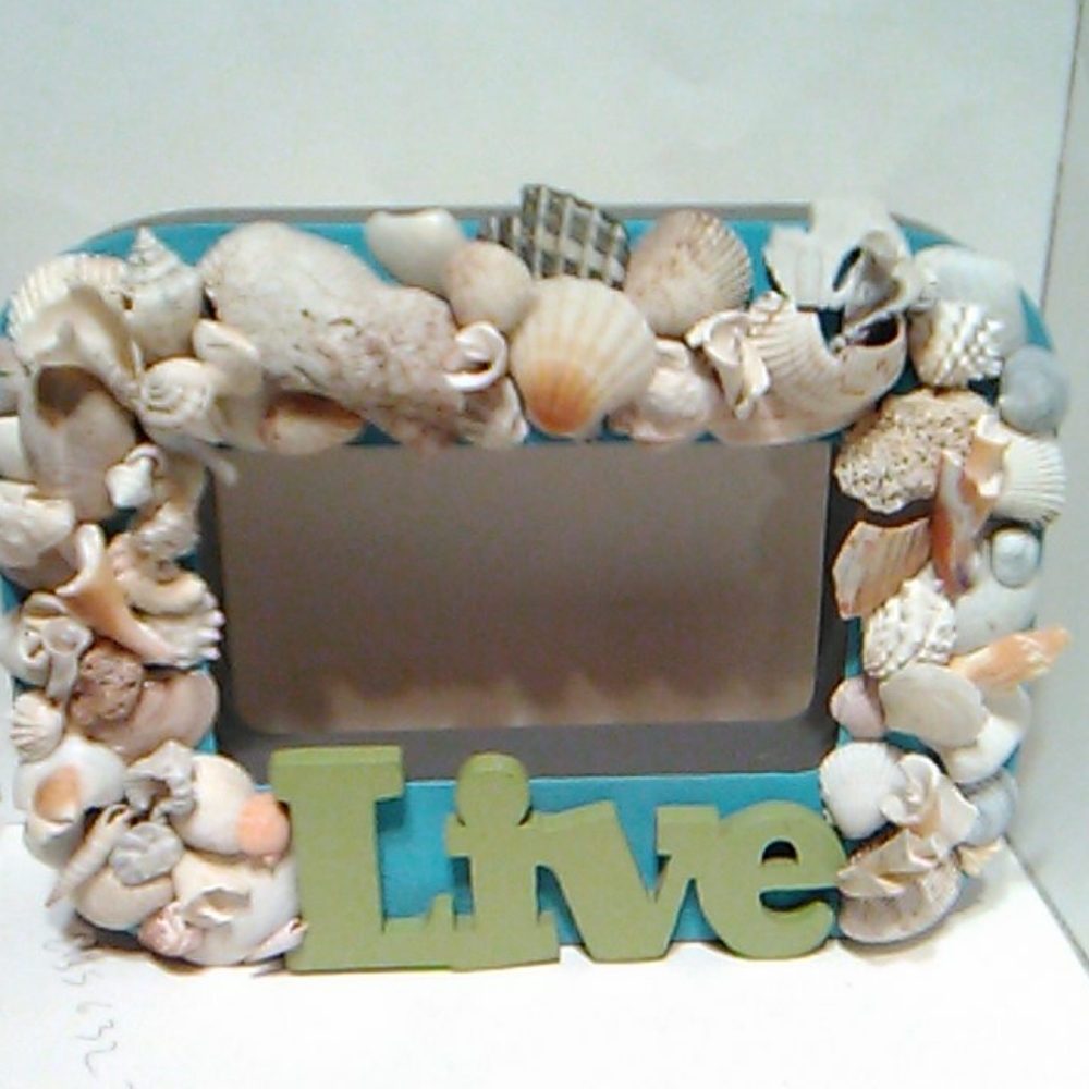 Shell Shelf Sitter - Picture 1 of 14